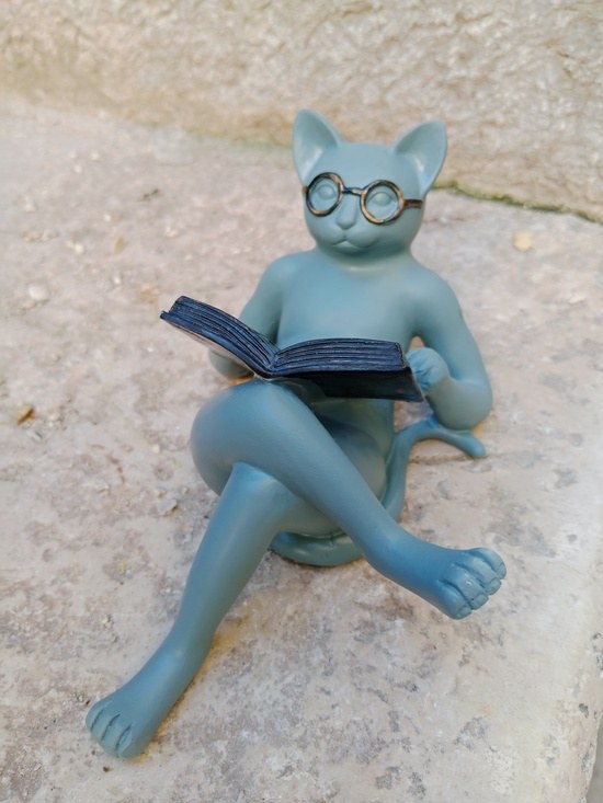 picture of cat