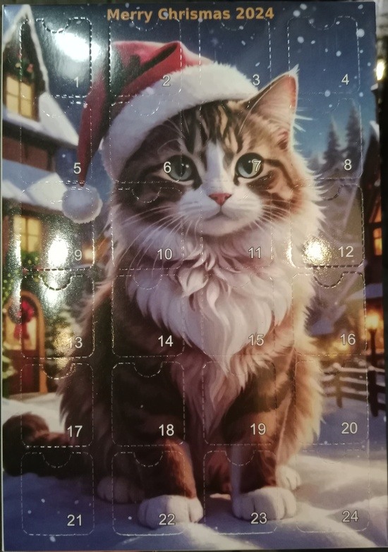 cat photo